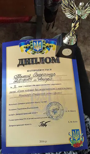 Захід підведення підсумків в конкурсі для учнів професійно-технічних навчальних закладів області «Ми проти насильства і жорстокості»