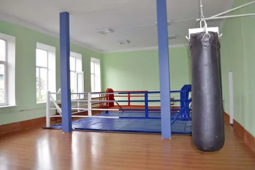 Свято продовжується. Для майбутніх чемпіонів відкрито професійний боксерський ринг!