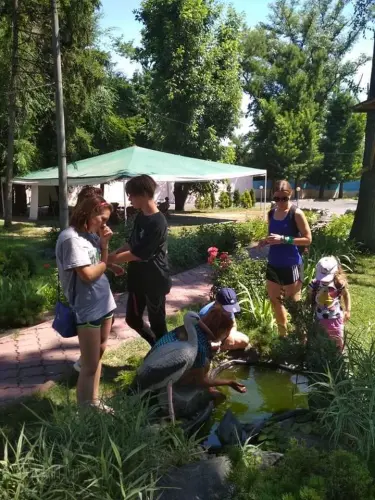 День Молоді в Освіторіумі