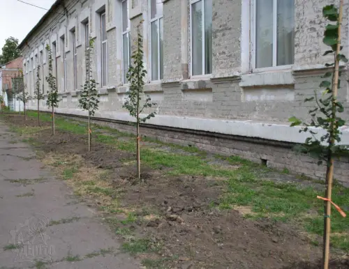 З турботою про майбутнє міста