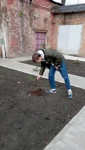 Екохвиля перемоги у ДЦПТО