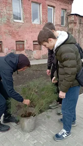 Екохвиля перемоги у ДЦПТО