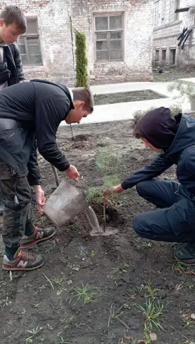 Екохвиля перемоги у ДЦПТО