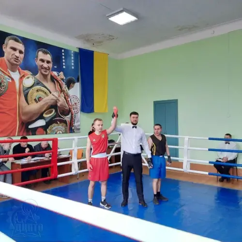 Турнір з боксу пам'яті Олексія Шевеля