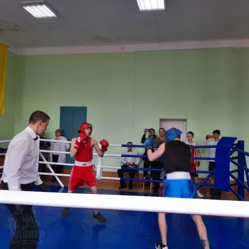 Турнір з боксу пам'яті Олексія Шевеля