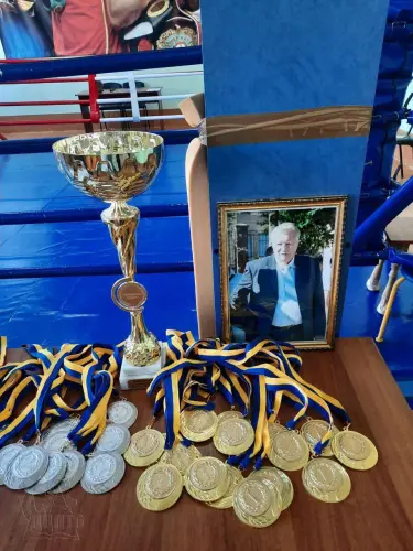 Турнір з боксу пам'яті Олексія Шевеля
